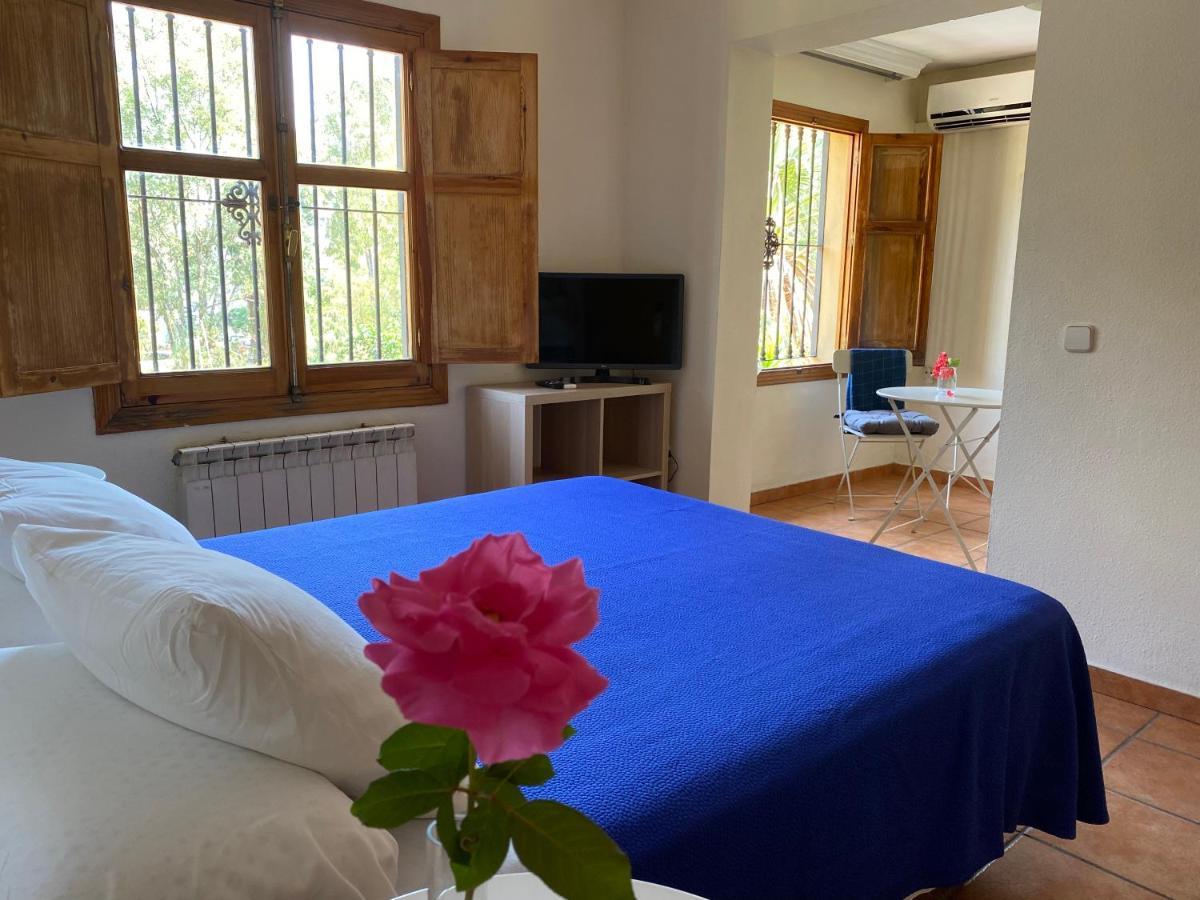 Habitación Superior con cama extragrande