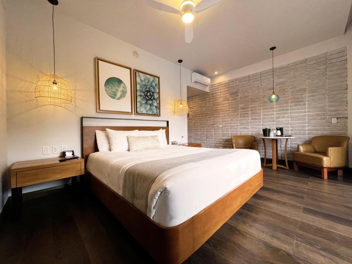 Habitación Deluxe con cama extragrande