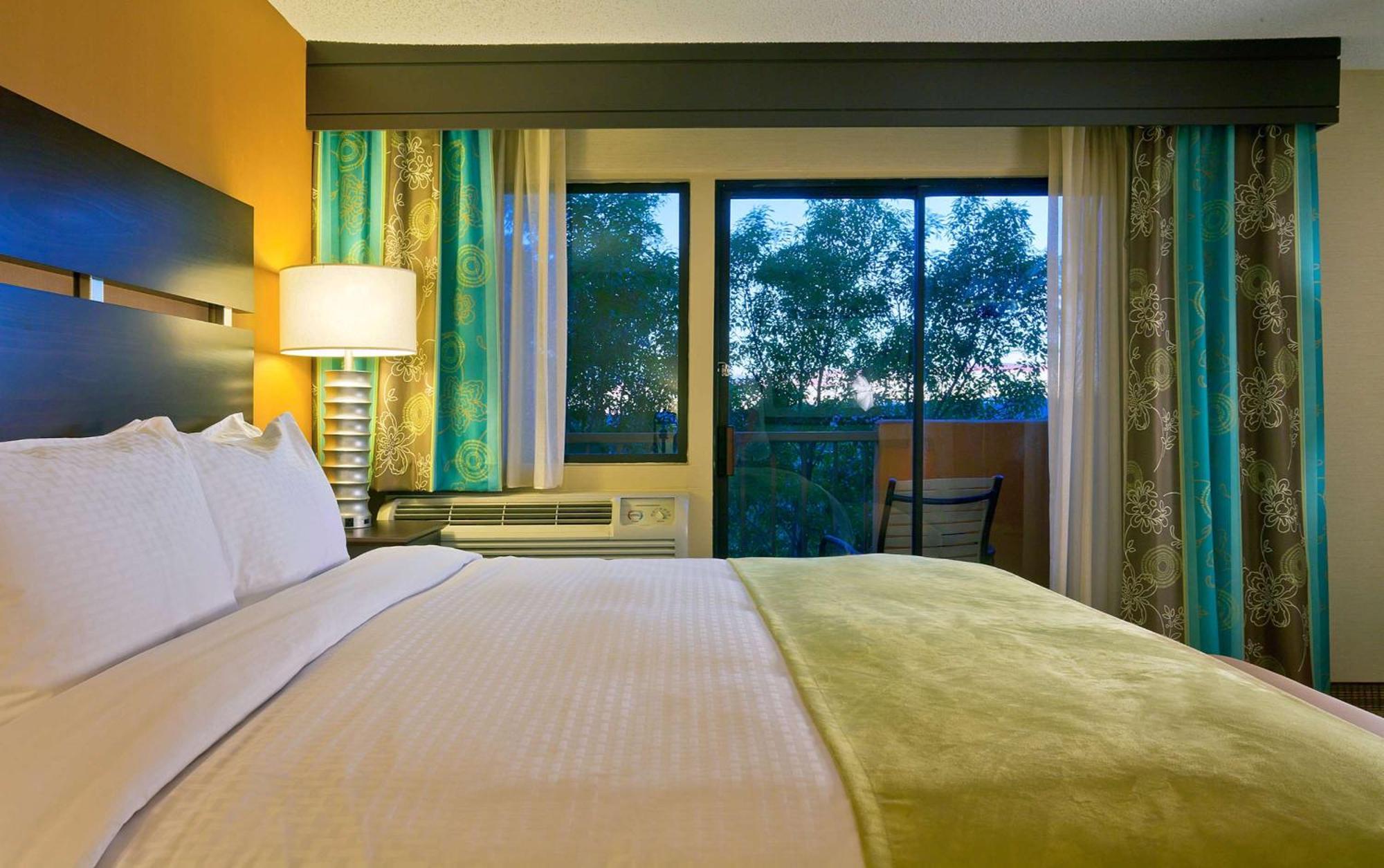Suite con cama extragrande - No fumadores