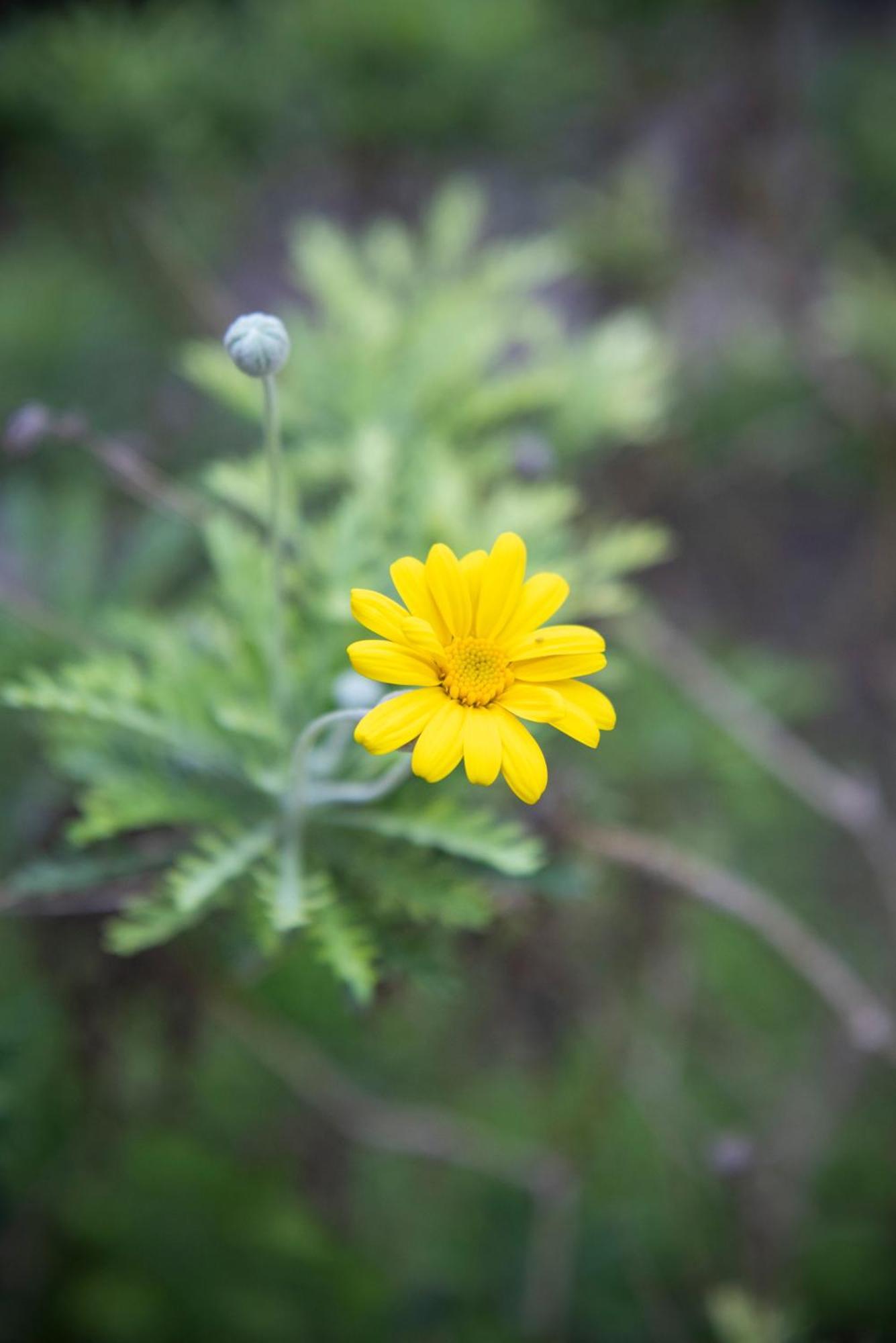 King Room with Spa Bath,1618477895:JPEG