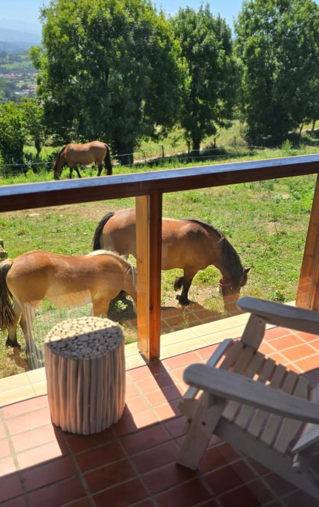 King Suite with Spa Bath,1675490842:JPEG