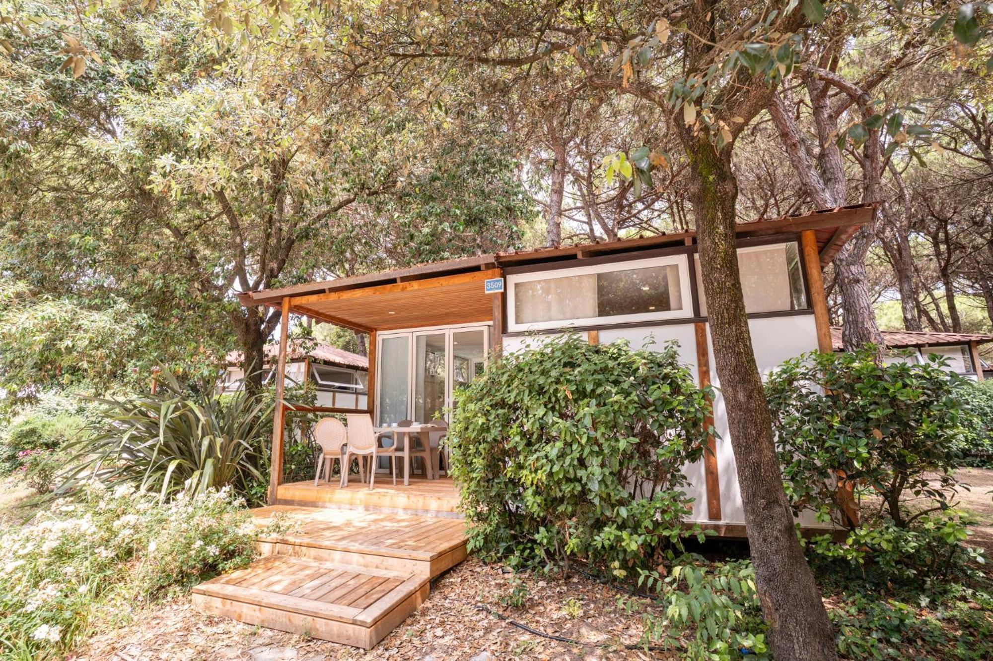 Chalet Comfort
