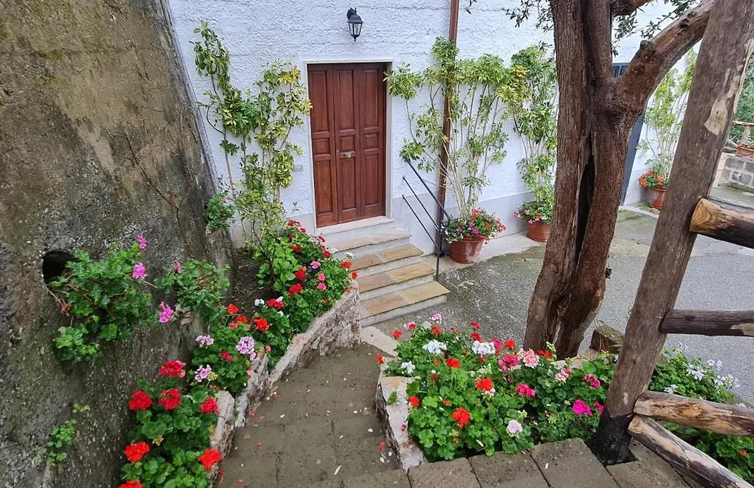 Casa Betania Da Peppe-1