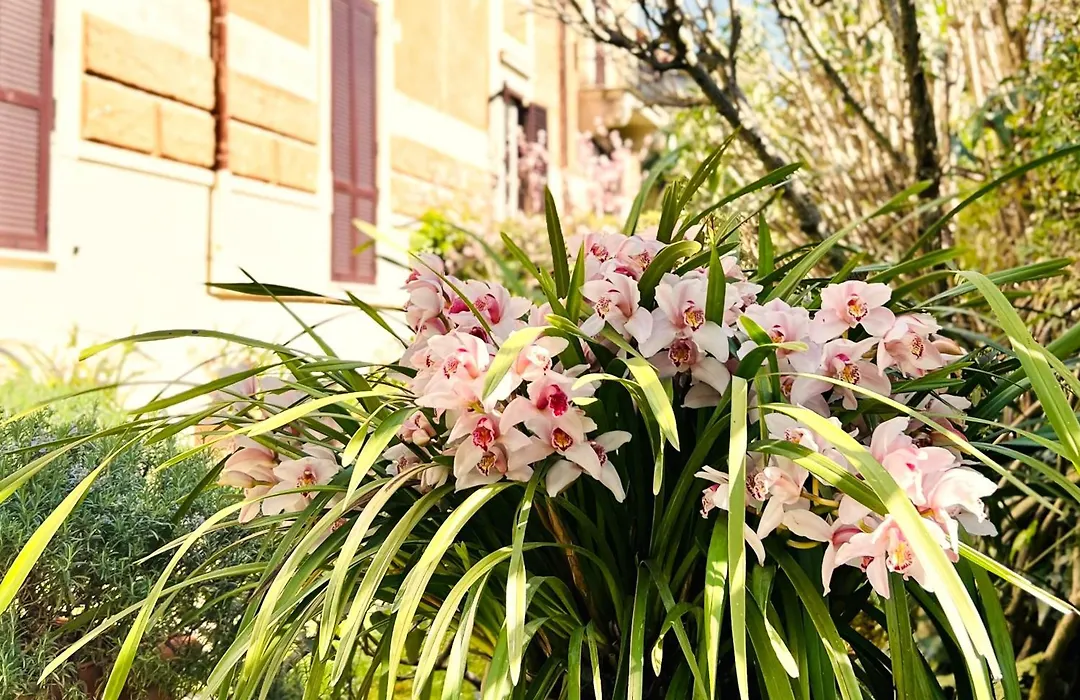 Villa Leonardo-1