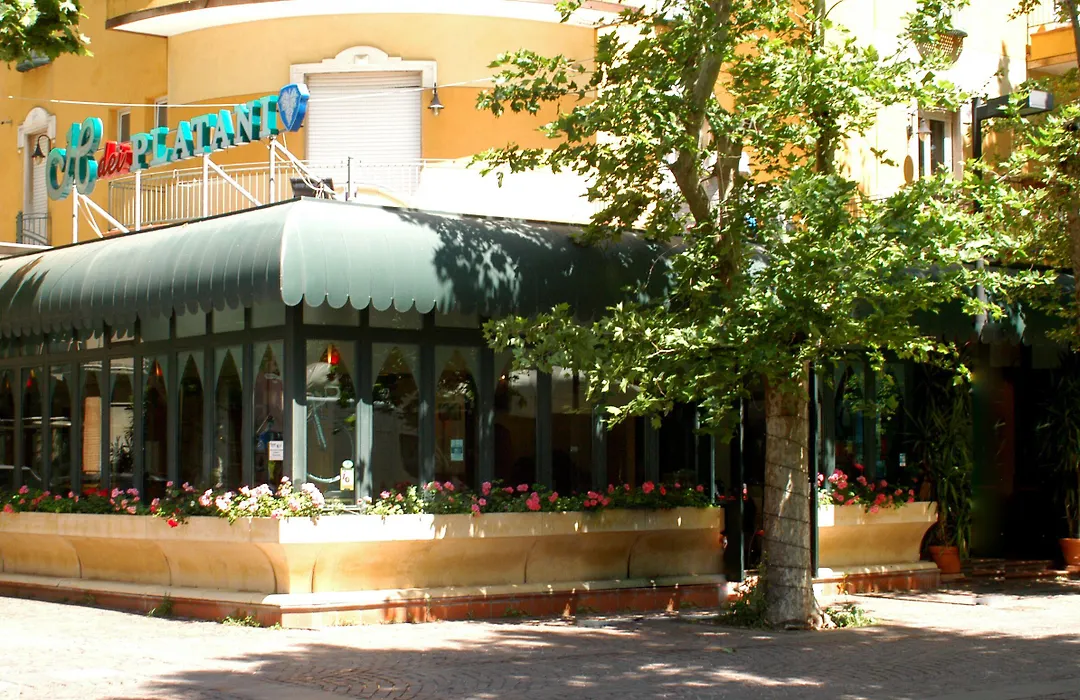 Hotel Dei Platani-1