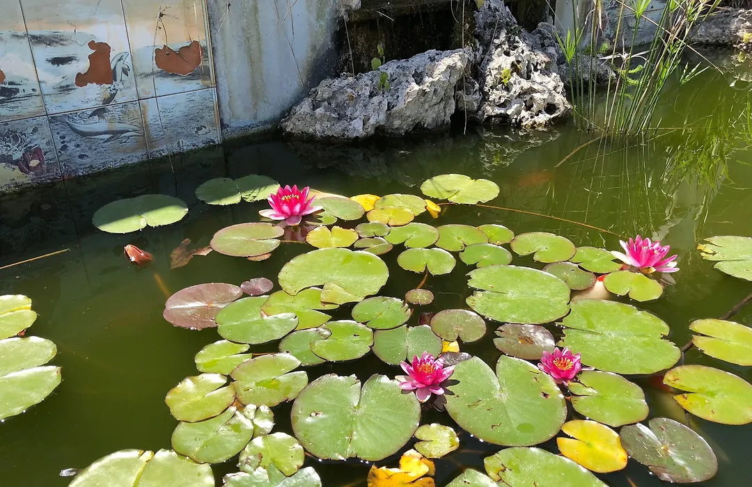 Villa Patrizia-1