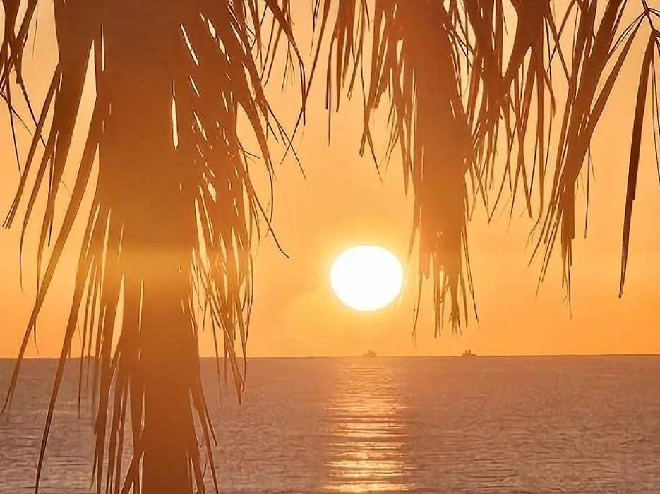 Alicante 30-1