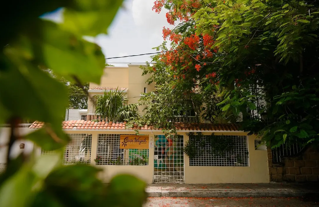 Casa Wayak-1