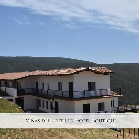Viñas del Castillo-2
