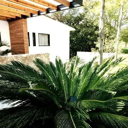 Casa Aguila Gran Reserva-2