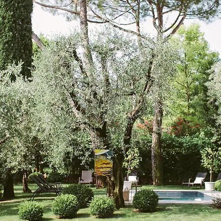 Piccola Vela-3