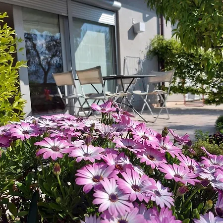 Villa Treccani Apartments-3