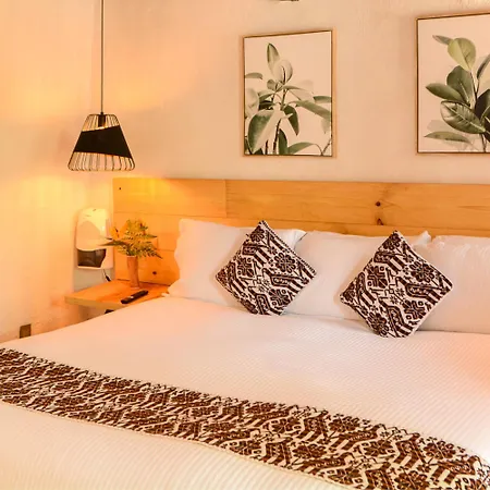 Petit Mesón (Pet Friendly Hotel)-2