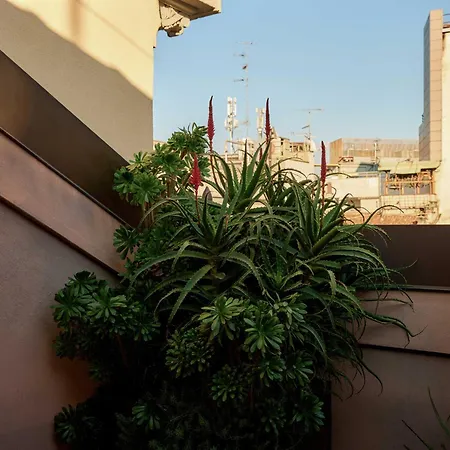 Straf, Milan, A Member Of Design Hotels-3