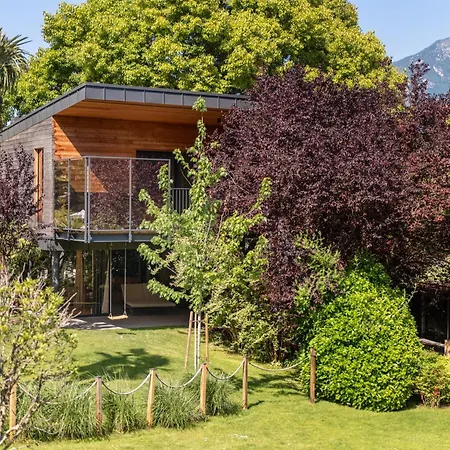 Treelodgy, The Tree House-2