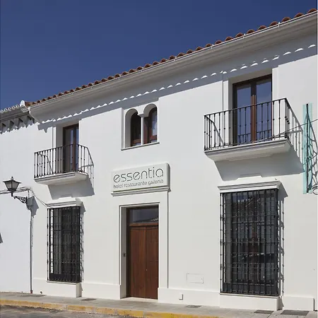 Hotel Galería Essentia-2