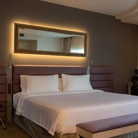 Crowne Plaza Toluca - Lancaster By Ihg-2