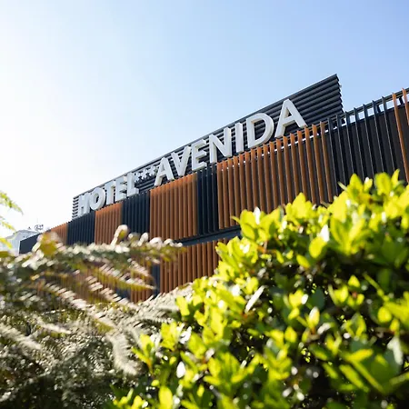 Hotel Avenida-2