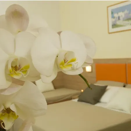 Hotel Consuelo-2