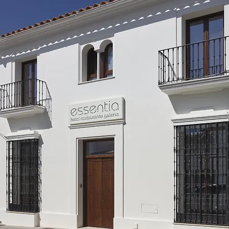 Hotel Galería Essentia-3