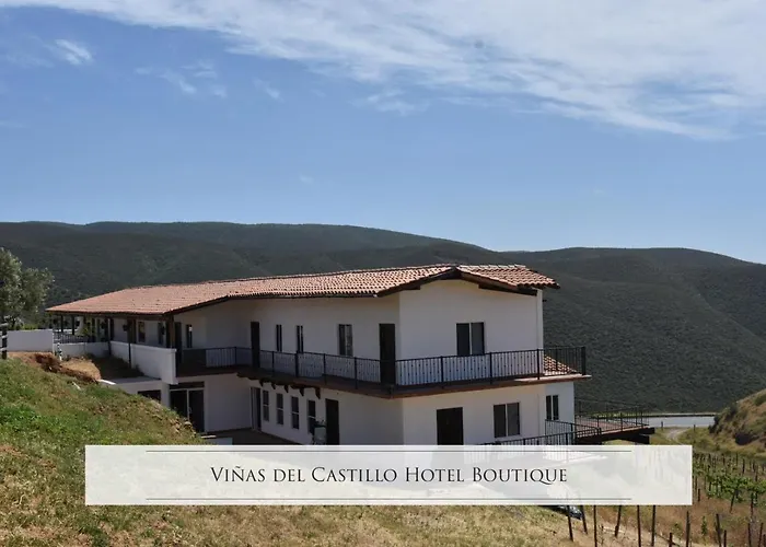 Viñas del Castillo Ensenada