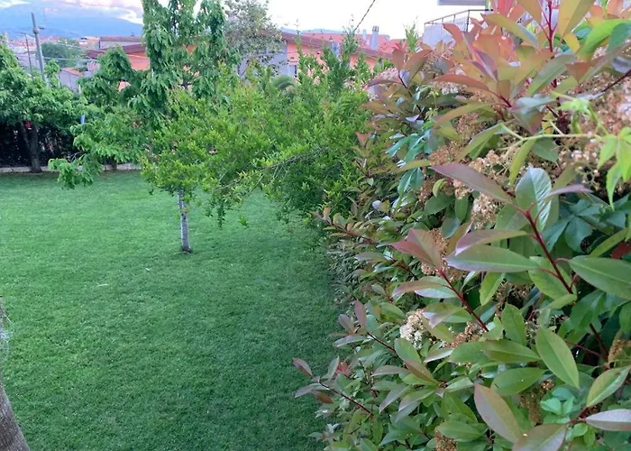 B&B The Garden Pescara
