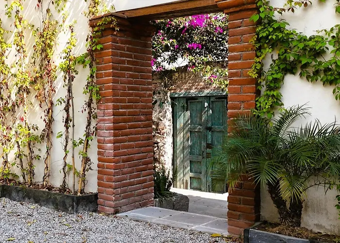 Orchid House Coyoacán México DF