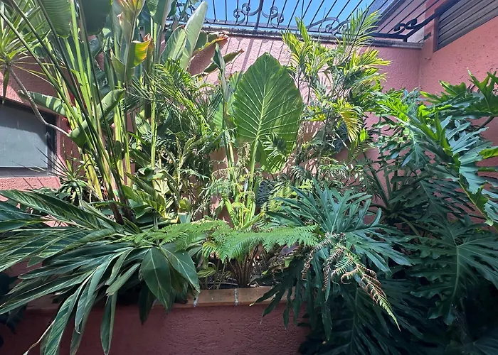 Casona De Elefantes Boutique Hotel Cuernavaca