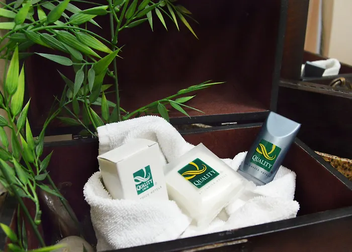 Quality Inn Chihuahua San Francisco