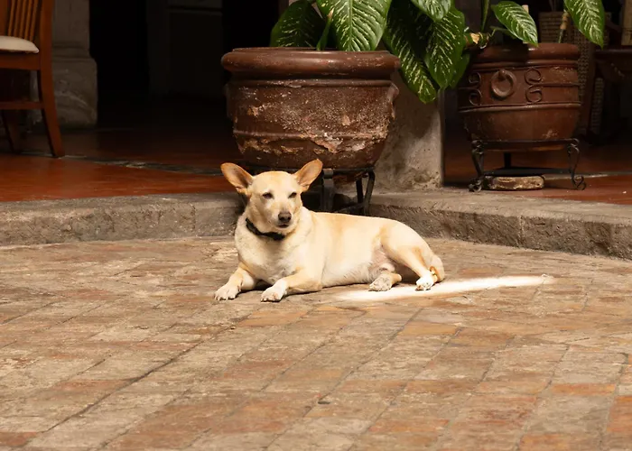 Hotel Posada San Agustin Durango
