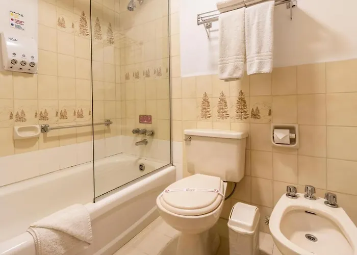 hotel saro México DF